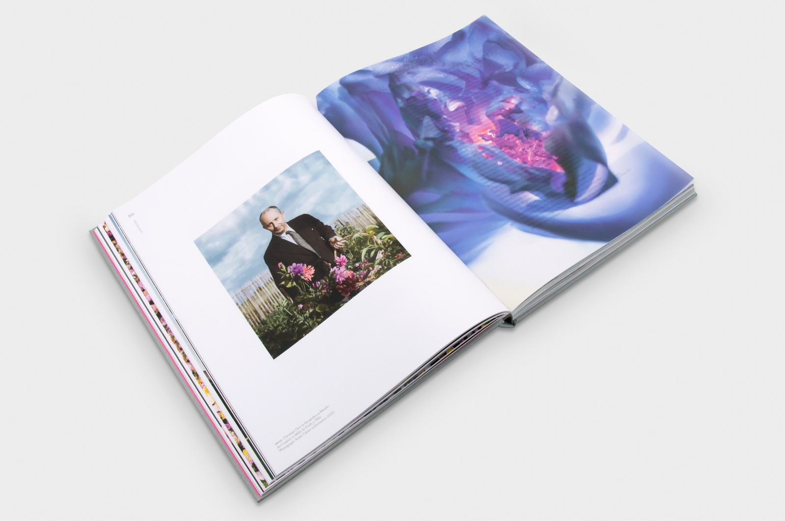 Dior In Bloom Book curated on LTK