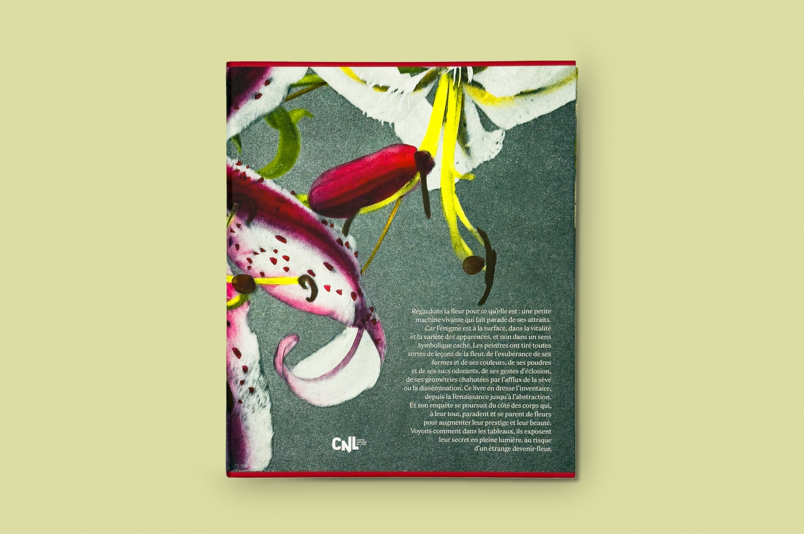 La Parade des fleurs<br>Leçons de peinture